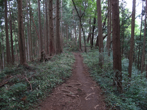 20161014hike (86)